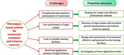 Challenges and potential solutions of microalgae-based systems for wastewater treatment and resource recovery